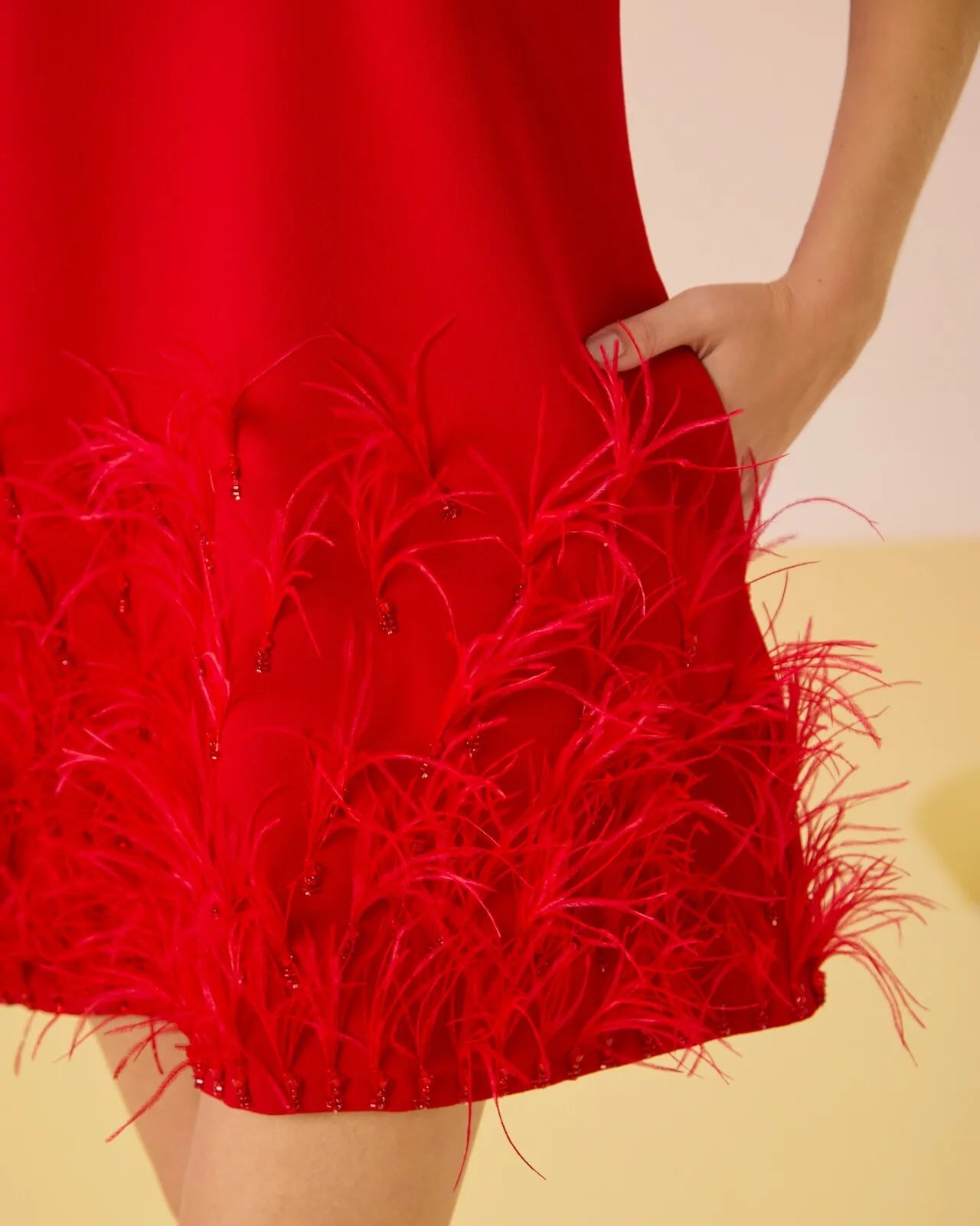 ANF MINI FEATHER RED DRESS